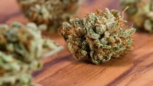 White Widows Strain