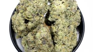 animal cookies strain