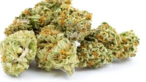 animal cookies strain
