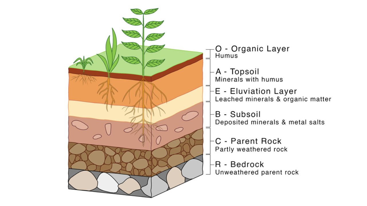 build a soil