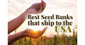Attitude Seed Bank USA