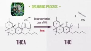 decarbing fresh weed in oven