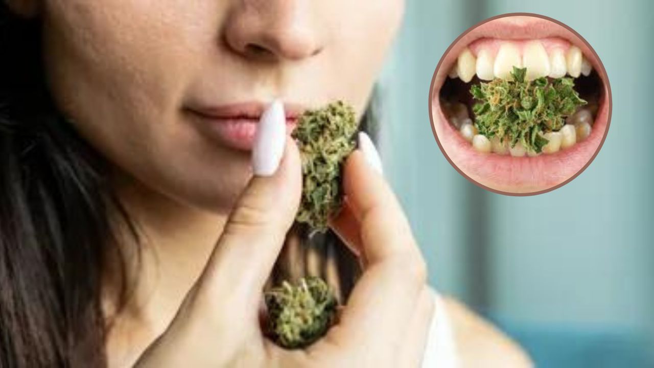 indica or sativa for toothache
