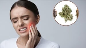 indica or sativa for toothache