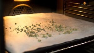 Drying Weed Before Decarbing