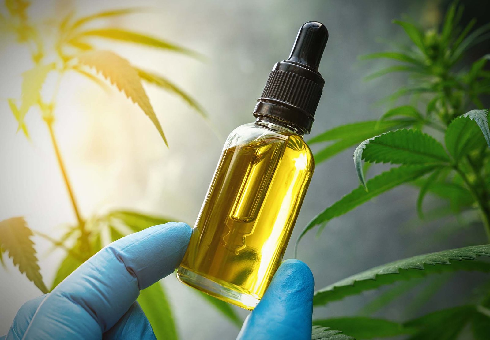 The science behind vaping cannabis and Learn the key differences between vapingThe Science Behind Vaping Cannabis: Why it Works Faster than Edibles