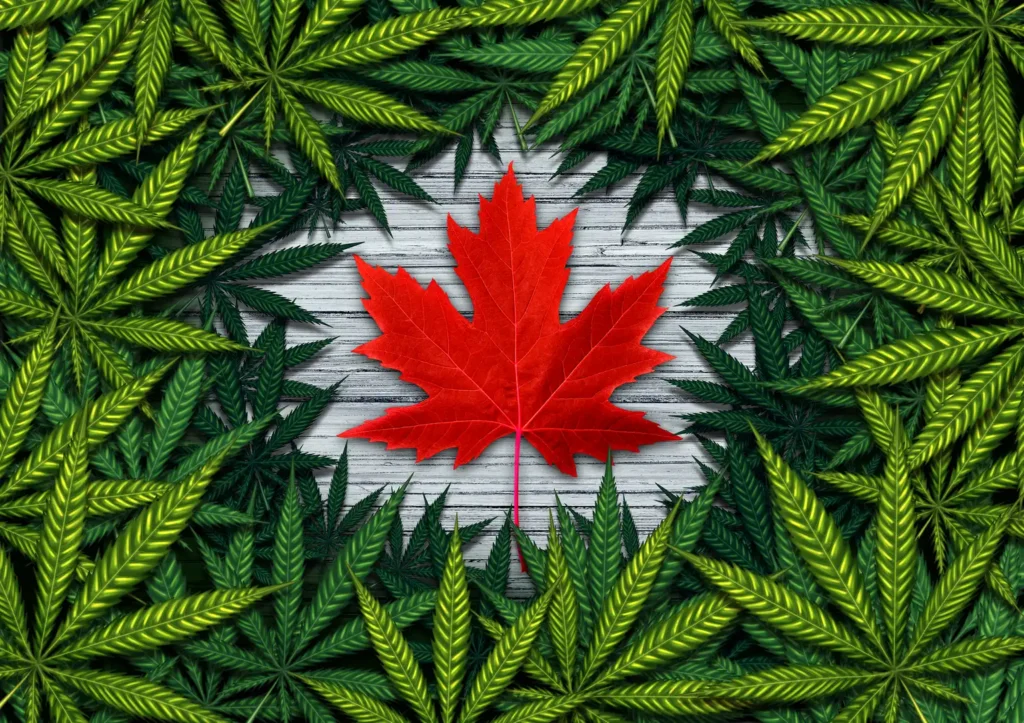 When Did Canada Legalize Cannabis for Recreational and Medicinal Purposes?