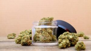 Apples and Bananas Strain