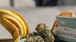 Apples and Bananas Strain