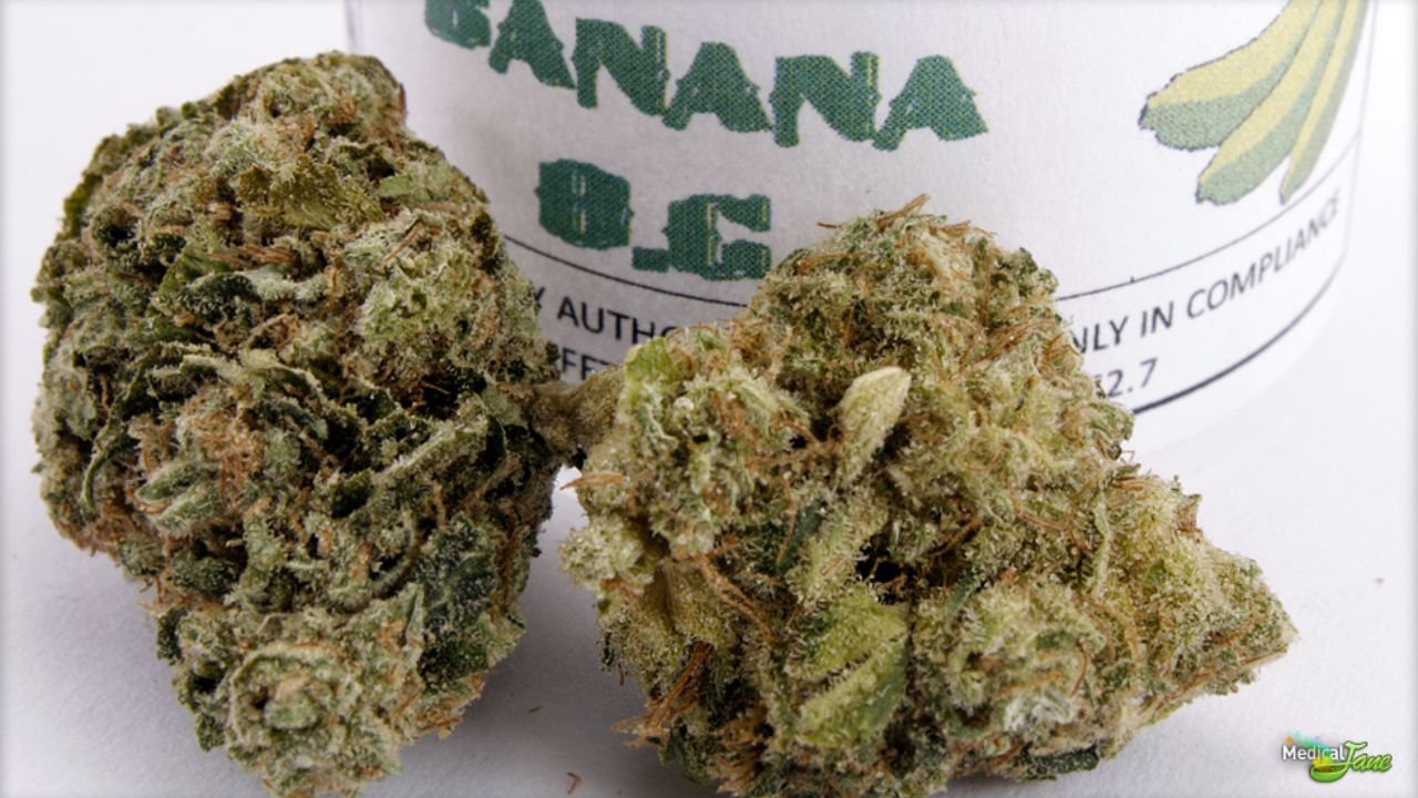 Apples and Bananas Strain