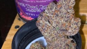 Ice Cream Cake Strain