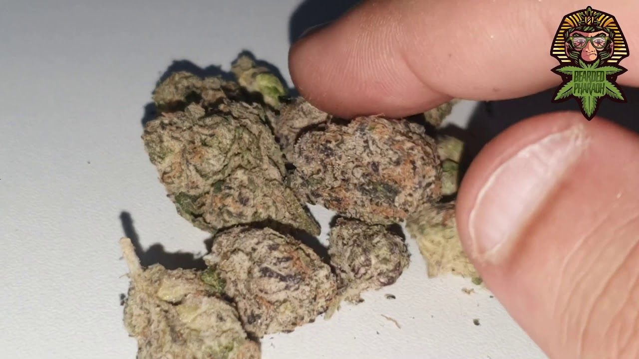Lemon Cherry Gelato Strain