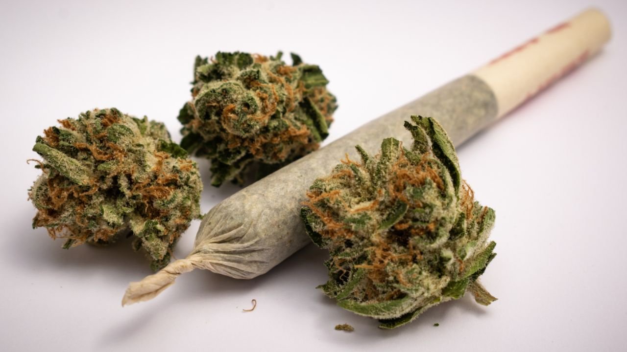 girl scout cookies strain
