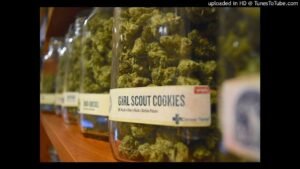girl scout cookies strain