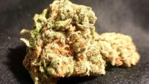 green crack strain