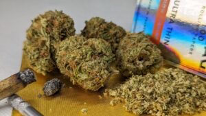 green crack strain