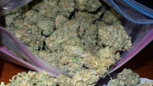 super boof strain