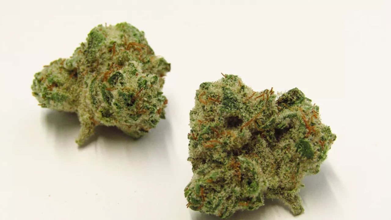 super boof strain
