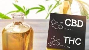 CBD vs THC – key differences