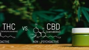 CBD vs THC – key differences