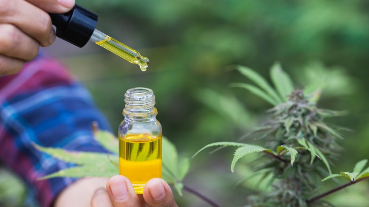 CBD vs THC – key differences