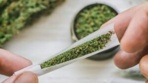best blunt wraps
