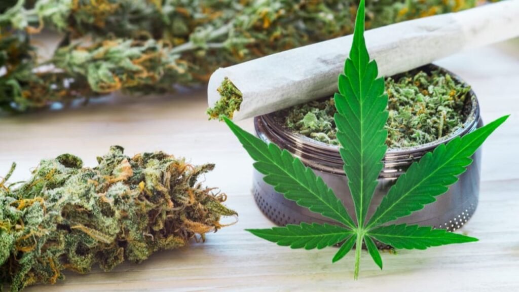 cannabis leaf issues