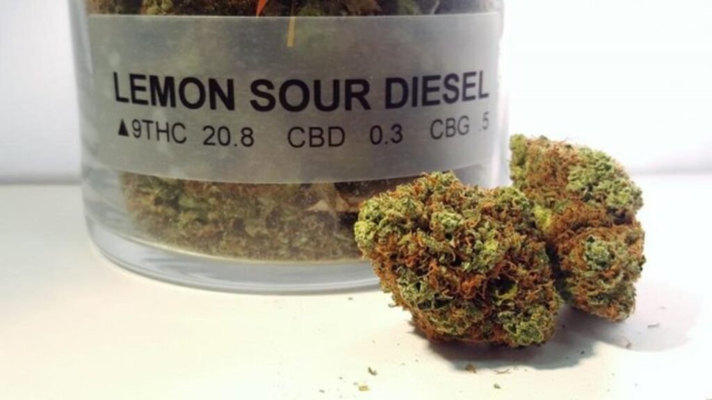diesel sour strain