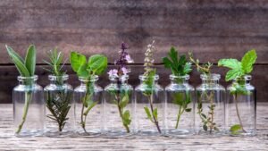 early signs of female plant