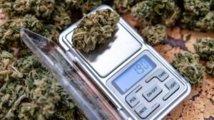 how much is a pound of weed