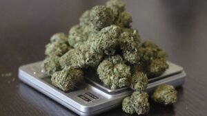 how much is a pound of weed