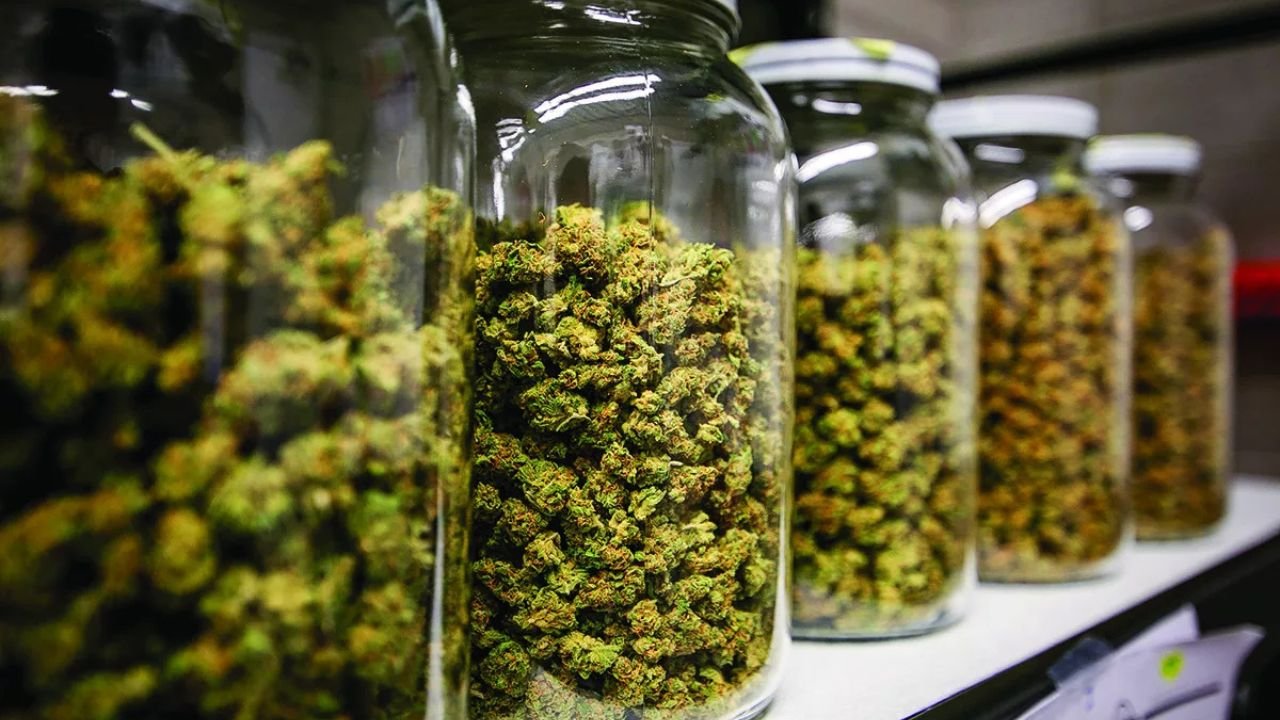 how much is a pound of weed