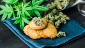 how to choose cannabis edibles dosage