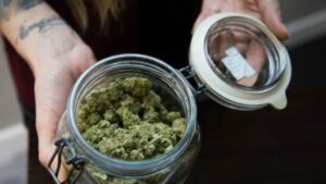 how to order cannabis by mail legally