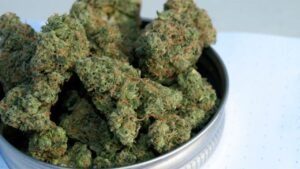 how to order cannabis by mail legally