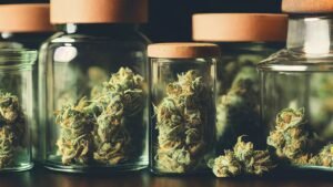 how to store cannabis flower