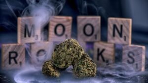 what are moon rocks cannabis