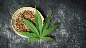 where does weed grow naturally