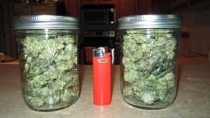 where does weed grow naturally