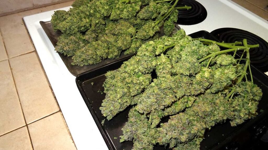 where does weed grow naturally