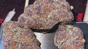 Purple Haze Strain