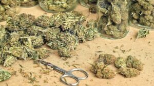 decarboxylation weed